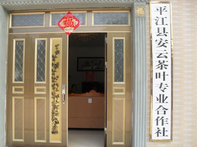 老青茶:品味岁月的韵味